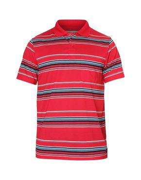 Polo Clothing & Co. Moss